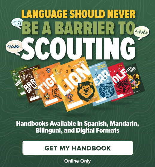Multilingual Literature